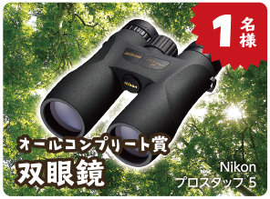 1名様 オールコンプリート賞 双眼鏡 Nikon プロスタッフ5